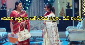 Intinti Ramayanam Today Episode : రాజేంద్రప్రసాద్ ను ఒప్పించిన అవని.. లాయర్ ను కొనేసిన పల్లవి..