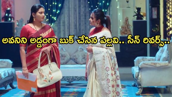 Intinti Ramayanam Today Episode : రాజేంద్రప్రసాద్ ను ఒప్పించిన అవని.. లాయర్ ను కొనేసిన పల్లవి..