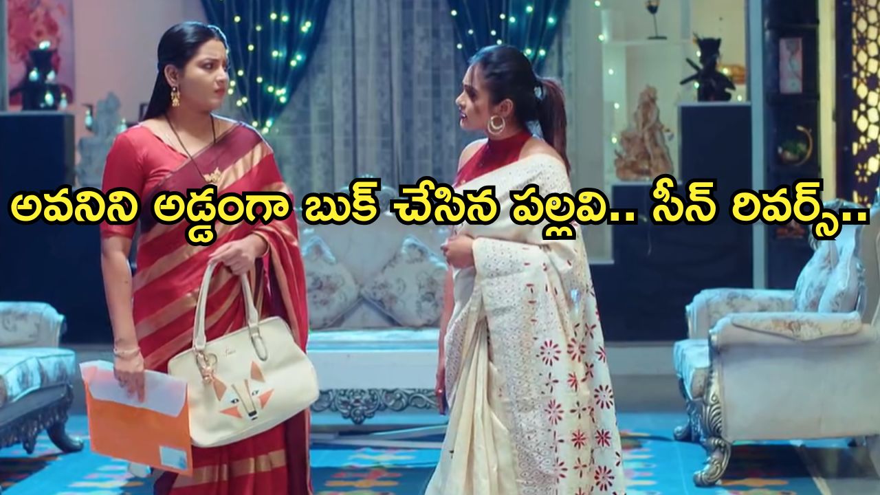 Intinti Ramayanam Today Episode : రాజేంద్రప్రసాద్ ను ఒప్పించిన అవని.. లాయర్ ను కొనేసిన పల్లవి..