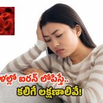 Iron Deficiency: మహిళల్లో ఐరన్ లోపిస్తే.. కలిగే లక్షణాలివే !