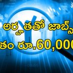 Jobs in SAI: స్పోర్ట్స్ అథారిటీ ఆఫ్ ఇండియాలో పర్ఫామెన్స్ అనలిస్ట్ ఉద్యోగాలు..