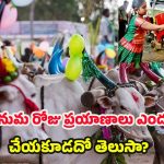 Kanuma Significance: కనుమ రోజు ప్రయాణాలు చేయకూడదు..ఎందుకో తెలుసా ?