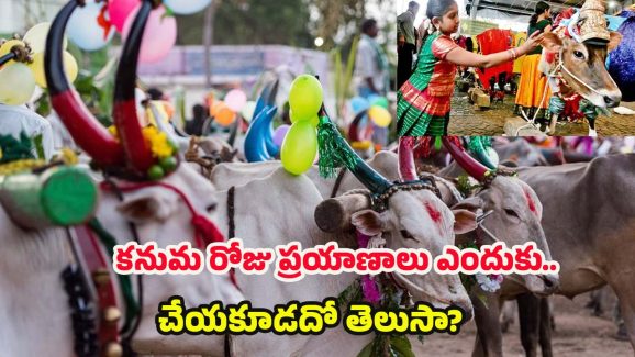 Kanuma Significance: కనుమ రోజు ప్రయాణాలు చేయకూడదు..ఎందుకో తెలుసా ?
