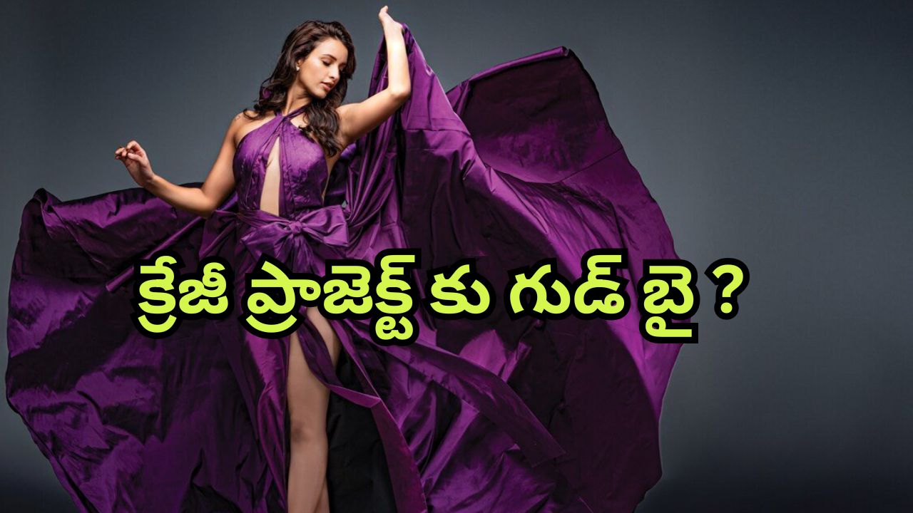 Triptii Dimri : మోస్ట్ అవైటింగ్ రొమాంటిక్ సీక్వెల్ నుంచి తప్పుకున్న త్రిప్తి… ఆగిపోయిన ప్రాజెక్టు