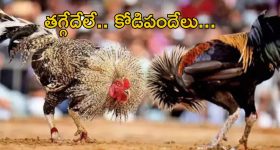 Dharani Portal: సీఎం నియోజకవర్గంలో ఎంత దగా.. పాపం వీరి పరిస్థితి..?