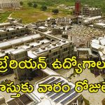Librarian Jobs: లైబ్రేరియన్ ఉద్యోగాలు.. జీతం అక్షరాల రూ.2,18,000.. పూర్తి వివరాలివే..
