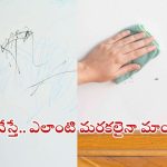 Tips For Wall Cleaning: ఇలా చేస్తే.. గోడలపై ఉన్న మరకలు క్షణాల్లోనే మాయం