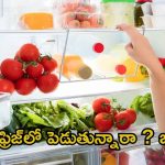 Fridge Organisation Tips: వీటిని ఫ్రిజ్‌లో పెడుతున్నారా ?  జాగ్రత్త !