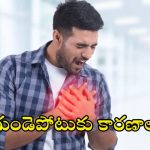 Heart Attack: గుండెపోటును ప్రేరేపించే.. 8 తప్పులు