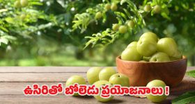 Amla Benefits: చలికాలంలో ఉసిరి తింటే.. ఆశ్చర్యకర ప్రయోజనాలు