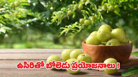 Amla Benefits: చలికాలంలో ఉసిరి తింటే.. ఆశ్చర్యకర ప్రయోజనాలు