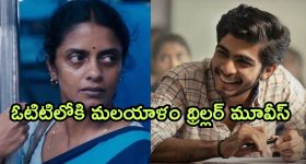 Dabidi Dibidi Song: బాలయ్య పాటకు నెగిటివ్ రెస్పాన్స్.. అసలు ఏంటిది మాస్టారు.?