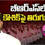 Padi Kaushik Reddy: నేను పోట్లాడుతా.. ఇమేజ్ కోసమేనా ఇదంతా?