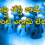 HMFW Jobs: రూ.35,000 జీతంతో ఉద్యోగం.. ఎలాంటి ఎగ్జామ్ లేదు.. వీళ్లందరూ అర్హులే..