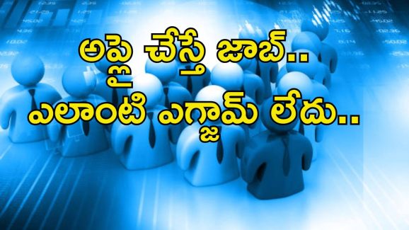 HMFW Jobs: రూ.35,000 జీతంతో ఉద్యోగం.. ఎలాంటి ఎగ్జామ్ లేదు.. వీళ్లందరూ అర్హులే..
