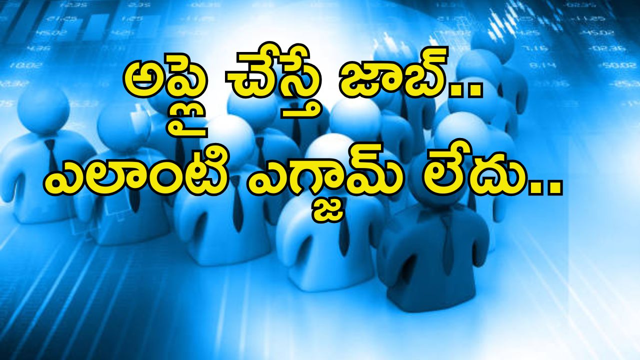 HMFW Jobs: రూ.35,000 జీతంతో ఉద్యోగం.. ఎలాంటి ఎగ్జామ్ లేదు.. వీళ్లందరూ అర్హులే..
