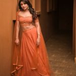 Mirna Menon : ఆరేంజ్ కలర్ లెహంగాలో క్యూట్ అందాలతో పిచ్చెక్కిస్తున్న మిర్నా మీనన్..