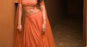 Mirna Menon : ఆరేంజ్ కలర్ లెహంగాలో క్యూట్ అందాలతో పిచ్చెక్కిస్తున్న మిర్నా మీనన్..