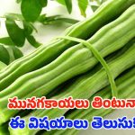 Drumsticks: మునగ కాయలు తింటే.. ఈ వ్యాధులు రమ్మన్నా రావు !