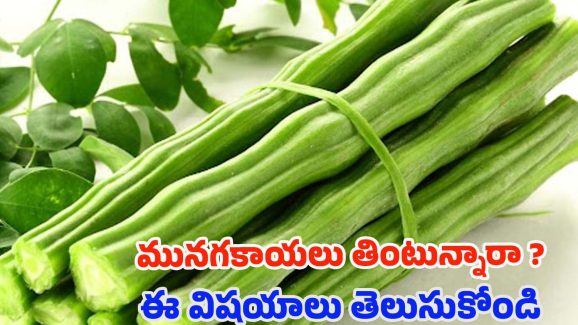 Drumsticks: మునగ కాయలు తింటే.. ఈ వ్యాధులు రమ్మన్నా రావు !