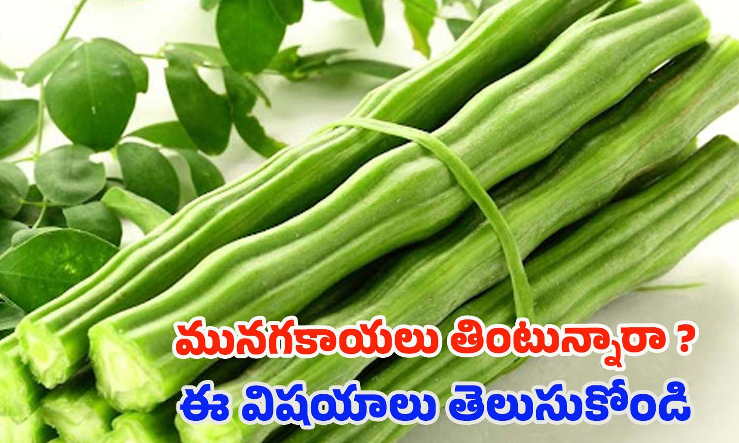 Drumsticks: మునగ కాయలు తింటే.. ఈ వ్యాధులు రమ్మన్నా రావు !