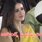 Actress Anshu : ఆ డైరెక్టర్ పై మన్మథుడు హీరోయిన్ షాకింగ్ కామెంట్స్.. మంచోడే కానీ!