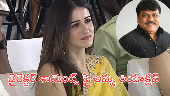 Actress Anshu : ఆ డైరెక్టర్ పై మన్మథుడు హీరోయిన్ షాకింగ్ కామెంట్స్.. మంచోడే కానీ!