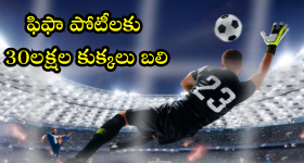 Venky Atluri: తెలుగు హీరోలు వద్దంటున్న యంగ్ డైరెక్టర్.. ‘సార్’ కాంబినేషన్ రిపీట్..