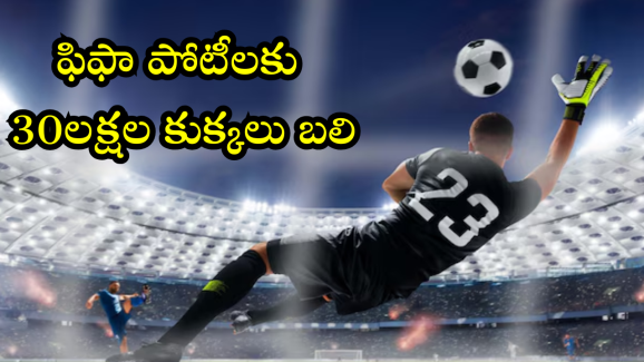 FIFA World Cup : ఫుట్ బాల్ పోటీల కోసం 30 లక్షల వీధి కుక్క హతం