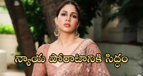 Lavanya Tripathi : మెగా కోడలి న్యాయ పోరాటం.. అసలు ఏం జరిగిందంటే!