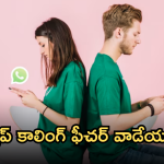 WhatsApp : వాట్సాప్ కాల్ షెడ్యూల్ ఆప్షన్.. ఎలా ఉపయోగించాలో తెలుసా!