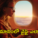 In-Flight Wifi : విమానంలో మొబైల్ డేటా పనిచేయదు.. మరి వైఫై ఎక్కడ నుంచి వస్తుంది?