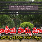 Hayathnagar : జాతీయ పార్కును అమ్మకానికి పెట్టేసిన కేటుగాళ్లు.. గజం రూ.35 వేలకే విక్రయం..
