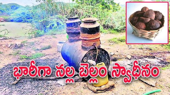 Police Seized Gudumba : గుట్టుచప్పుడు కాకుండా గుడుంబా తయారీ.. పోలీసుల సోదాల్లో భారీగా వెలుగులోకి..