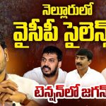 YCP in Nellore: ఏపీలో ఆ జిల్లాకు ఏమైంది.. ఒకప్పుడు వైసీపీ కంచుకోట.. ఇప్పుడేమో..?