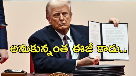 USA BirthRight Citizenship: అమెరికా జన్మతః పౌరసత్వం రద్దు.. చిక్కుల్లో ప్రవాస భారతీయులు