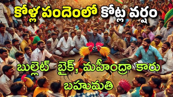 Sankranti Cockfights : సంక్రాంతి బరిలో కోడి పందేలు పీక్స్.. నిషేధం ఉన్నా కారు, బుల్లెట్ బైక్ బహుమానంగా పోటీలు