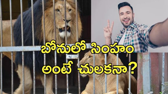 Tik Tok Lion Attack : వైరల్ వీడియో కోసం సింహంతో ఆటలు.. పాకిస్తానీపై పంజా విసిరిన మృగరాజు