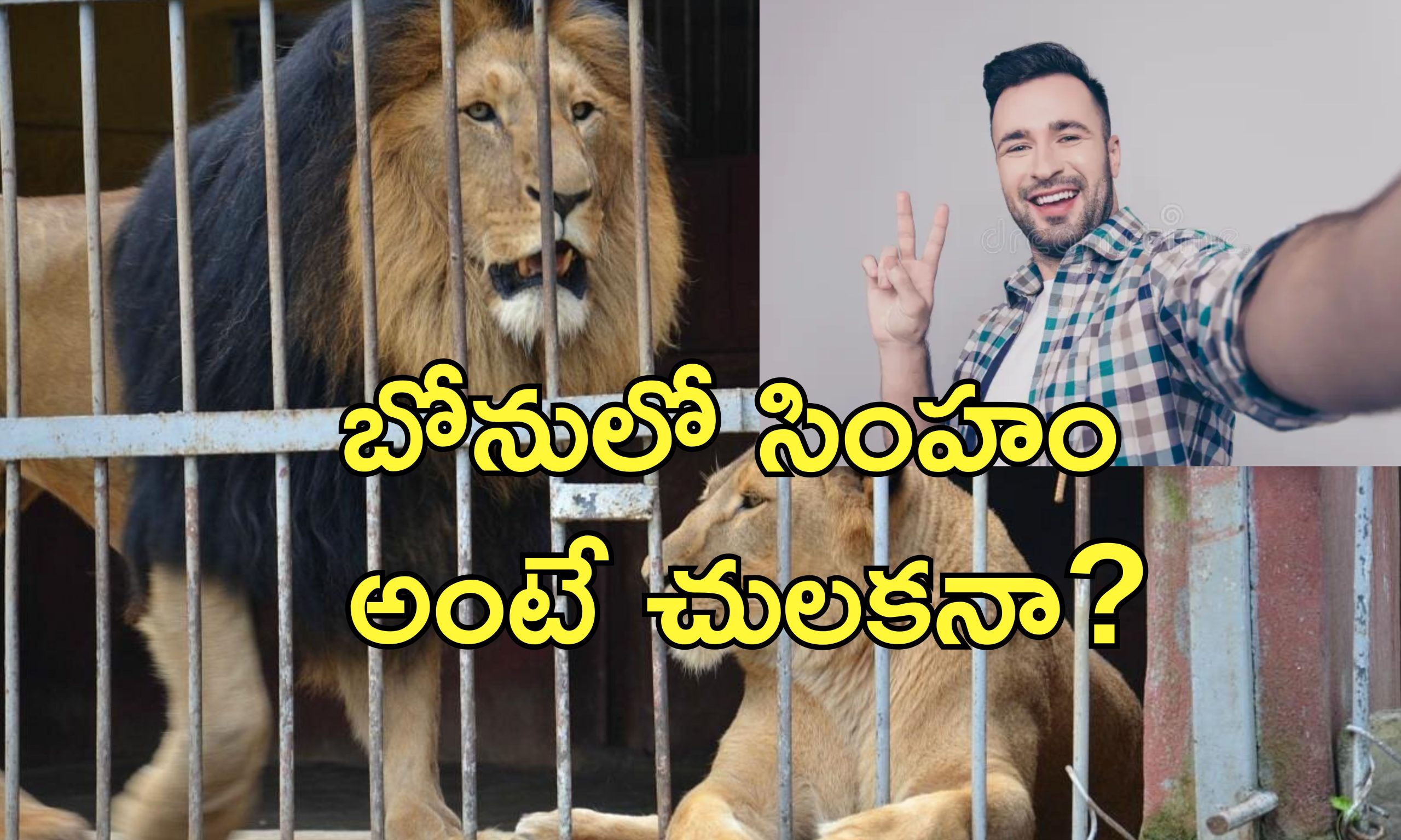 Tik Tok Lion Attack : వైరల్ వీడియో కోసం సింహంతో ఆటలు.. పాకిస్తానీపై పంజా విసిరిన మృగరాజు