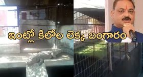 YCP vs Pawan Kalyan: తిరుపతి తొక్కిసలాట ఘటన.. పవన్‌ను టార్గెట్ చేసిన వైసీపీ