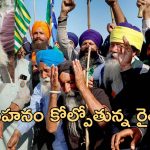 Farmer Protest Suicide: శంభు బార్డర్ వద్ద రైతుల నిరసనల్లో అన్నదాత ఆత్మహత్య.. మూడు వారాల్లో రెండో ఘటన