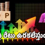 Economic Survey 2025 : వచ్చే ఏడాది వృద్ధి రేటు అంచనాలు విడుదల.. ఈ రంగాల్లో పెట్టుబడులకు మంచి ఫూచర్..