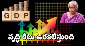 Economic Survey 2025 : వచ్చే ఏడాది వృద్ధి రేటు అంచనాలు విడుదల.. ఈ రంగాల్లో పెట్టుబడులకు మంచి ఫూచర్..