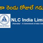 NLC Executive Trainee Jobs: NLC ఇండియా లిమిటెడ్‌లో జాబ్స్.. ఇంకా మూడు రోజులే ఛాన్స్