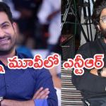 Allu Arjun : అల్లు అర్జున్ మూవీలో ఎన్టీఆర్.. మెంటలెక్కించే న్యూస్..