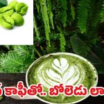 Green Coffee: గ్రీన్ కాఫీ ఎప్పుడైనా త్రాగారా ? ప్రయోజనాలు తెలిస్తే అస్సలు వదిలిపెట్టరు