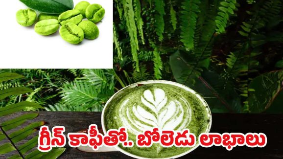 Green Coffee: గ్రీన్ కాఫీ ఎప్పుడైనా త్రాగారా ? ప్రయోజనాలు తెలిస్తే అస్సలు వదిలిపెట్టరు