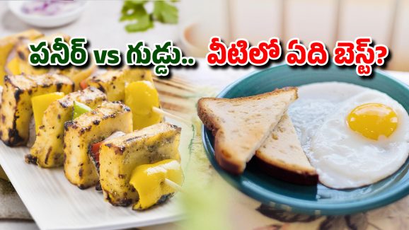 Egg VS Paneer: కోడిగుడ్డు లేదా పనీర్… బ్రేక్ ఫాస్ట్‌లో ఏది తింటే త్వరగా బరువు తగ్గుతారు?