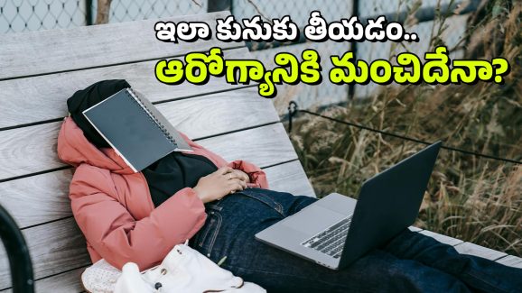 Napping Side Effects: పగటిపూట నిద్రను ఆపుకోలేకపోతున్నారా? అది ఆ వ్యాధికి కారణం కావచ్చు