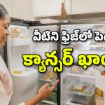 Food Poison: వీటిని ఫ్రిజ్‌లో పెడుతున్నారా? విషంగా మారతాయి జాగ్రత్త!